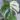 5a9f46fb-ebd2-44d3-8397-1a2efb1ffcdf-29135-00001261fd440a27_file